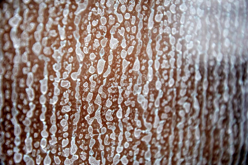 Strong limescale on the glass door in the shower room stock photography