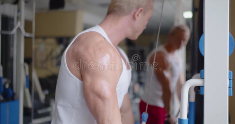 Bodybuilder Pumping Muscle In The Gym Do Fitness Stock Footage Video