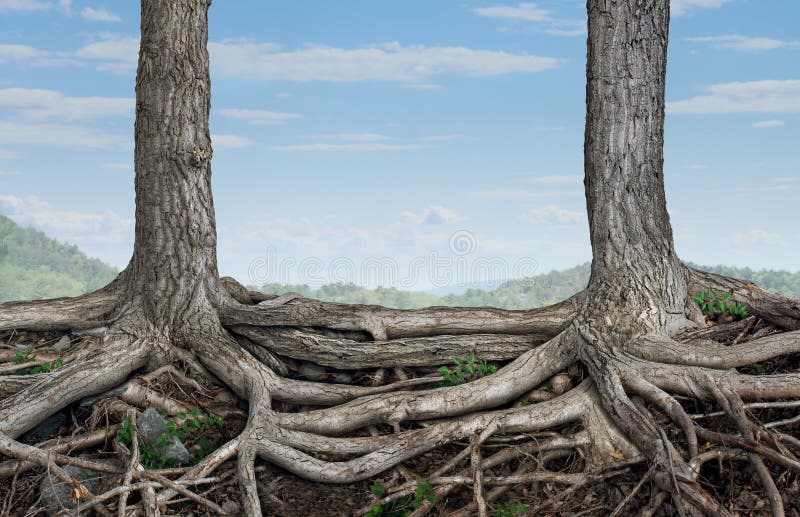 Strong Partnership. And foundation as a business concept of stability and loyalty with two trees with roots connected together as a symbol of agreement and vector illustration Strong Partnership. And foundation as a business concept of stability and loyalty with two trees with roots connected together as a symbol of agreement and vector illustration