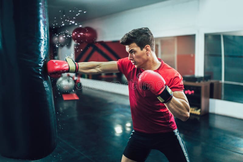 Strong Sports Man Boxer Make Exercises in Gym Stock Photo Image of