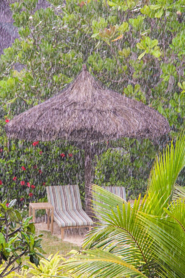 Strong tropical rain in the Seychelles