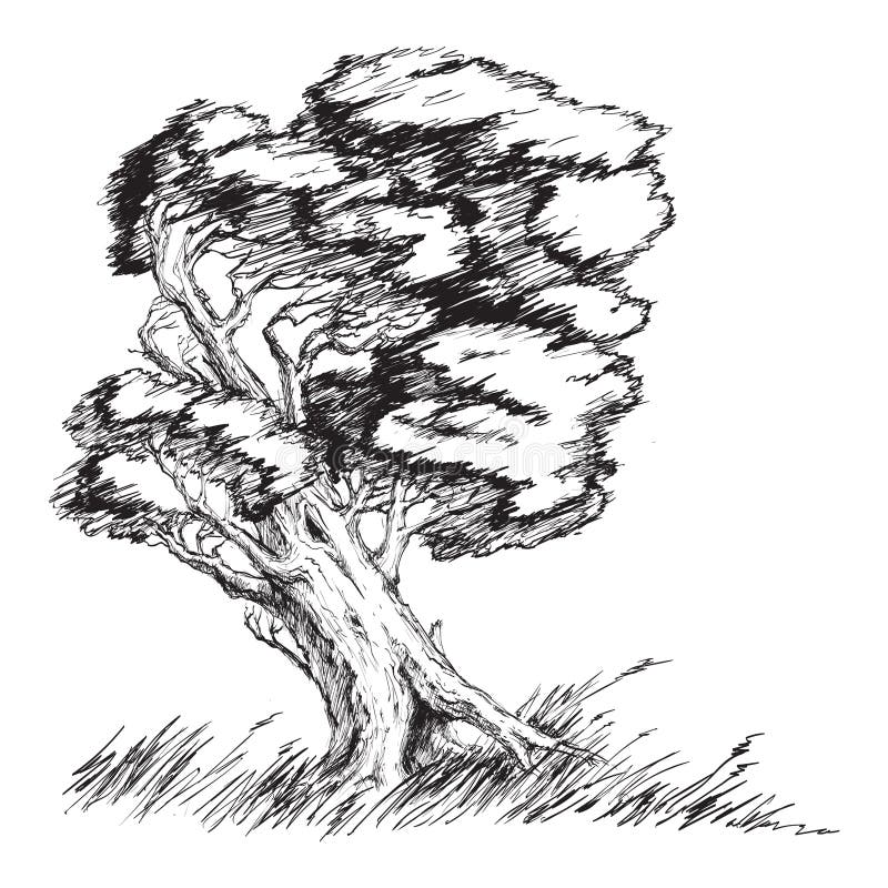 My Image 21