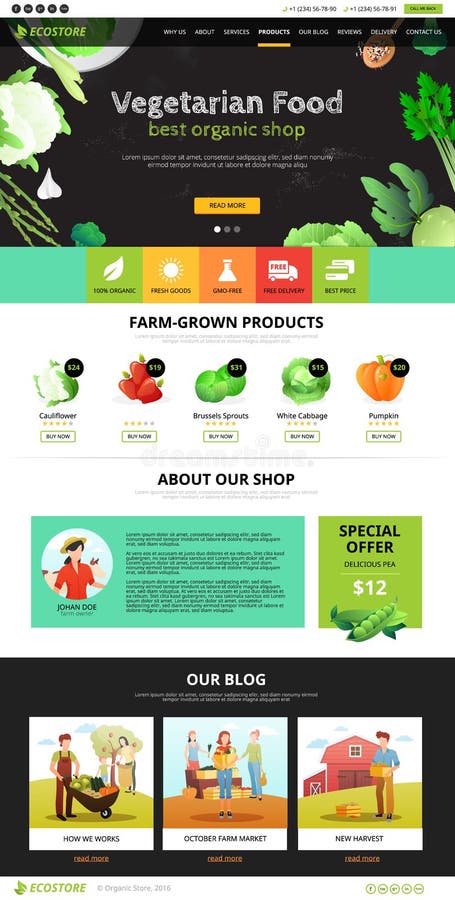Strony Internetowej Eco jedzenie ilustracja wektor Strony Internetowej Eco jedzenie ilustracja wektor