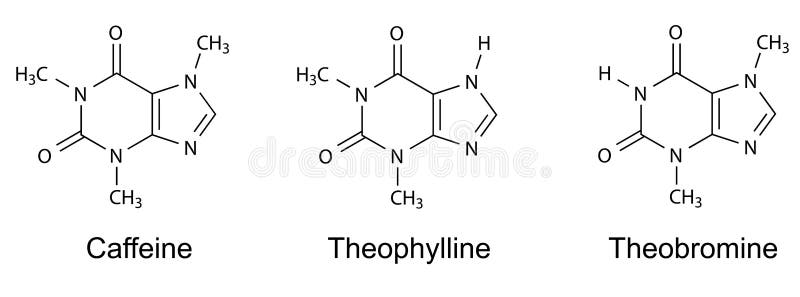 Estructuralmente químico fórmulas de (cafeína,,),  bidimensional ilustraciones,, en blanco.