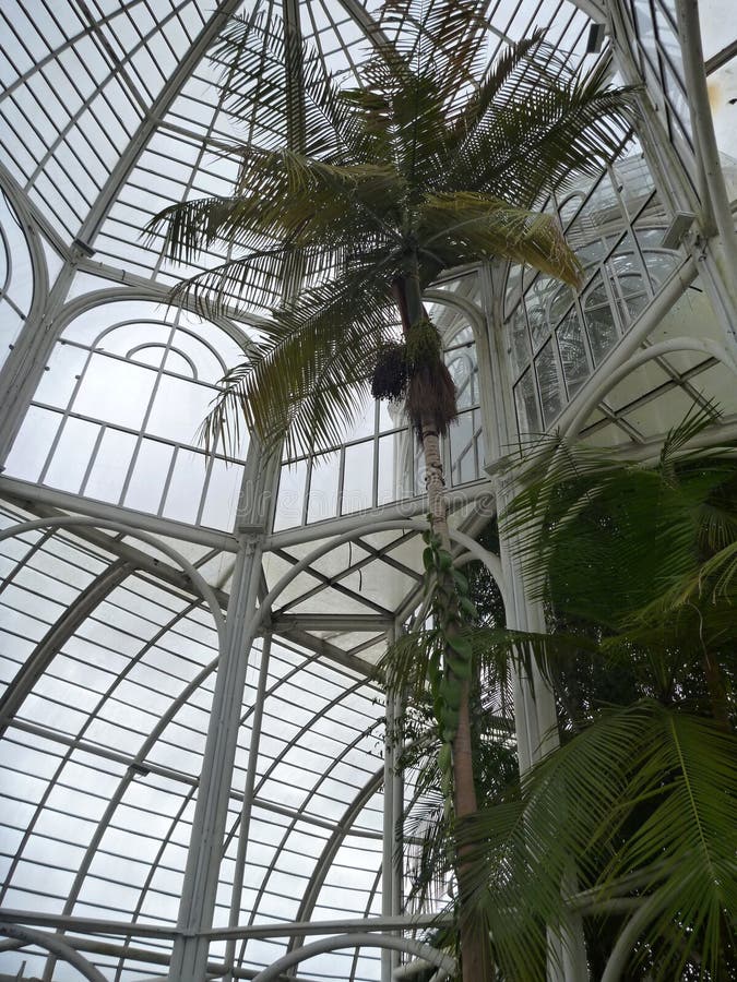 Structure blanche d'un jardin botanique en parc dans Curitiba photo libre de droits Structure blanche d'un jardin botanique en parc dans Curitiba photo libre de droits