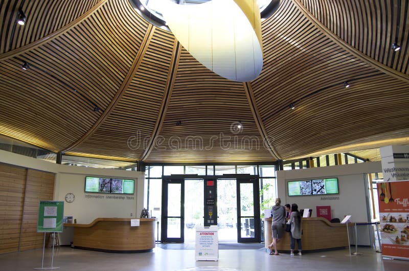 Structure en bois de plafond de lumière naturelle photo libre de droits Structure en bois de plafond de lumière naturelle photo libre de droits