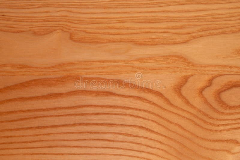 The Structure of Natural Ash Wood, Tinted Oak. Hardwood. Creative ...