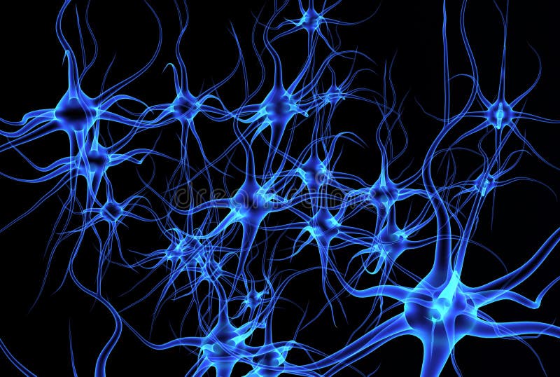 download structure of neuron download structure of neuron