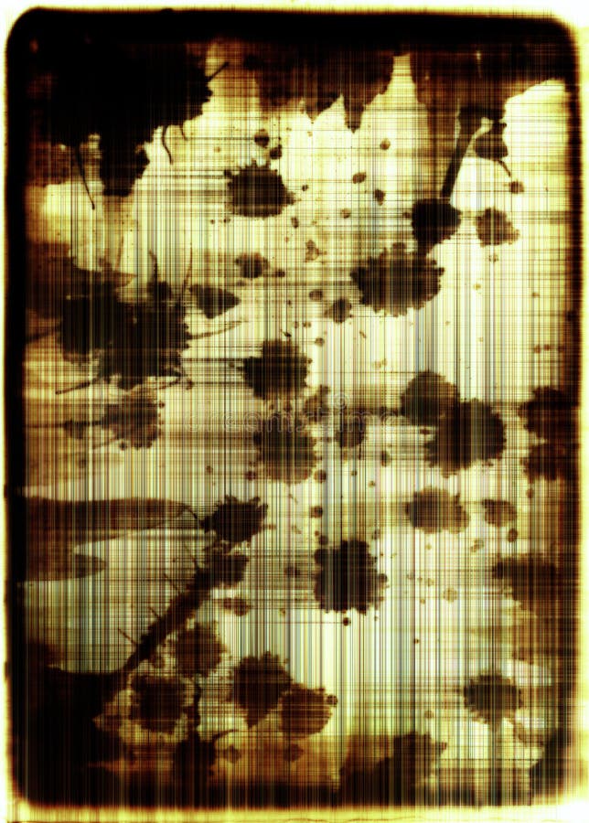 Structure of an old paper