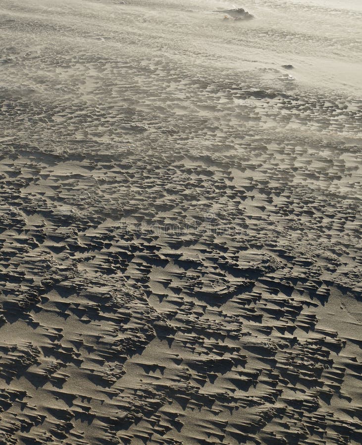 Structures régulières des dérives de sable sur une plage vent-balayée photo stock Structures régulières des dérives de sable sur une plage vent-balayée photo stock