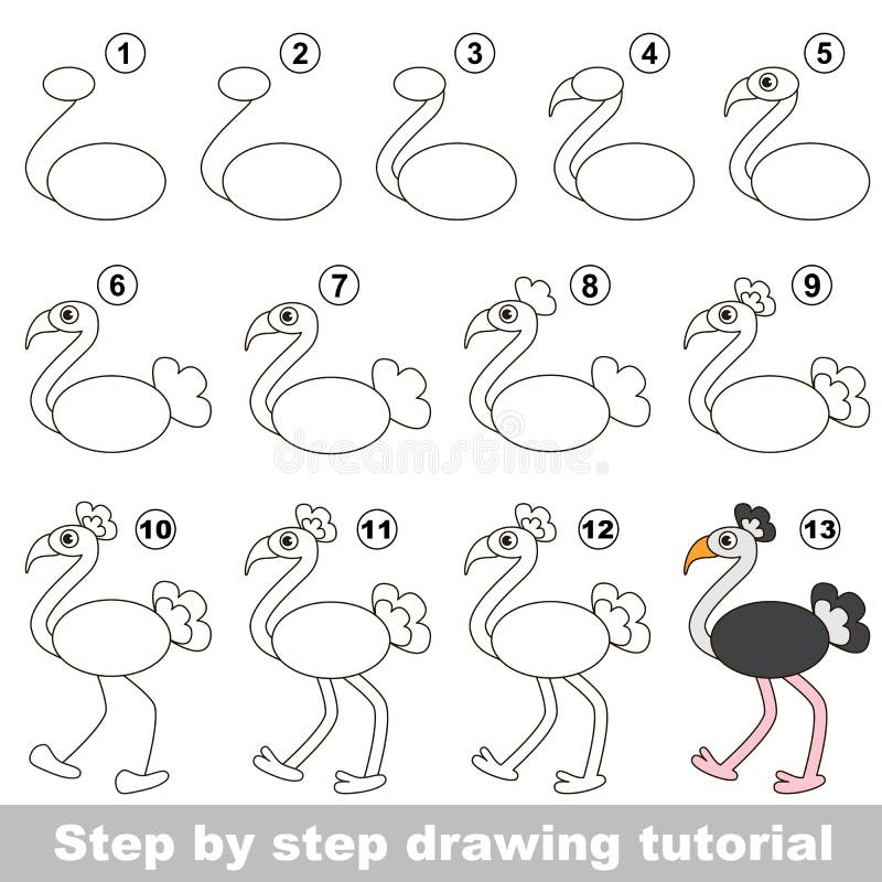 Struisvogel Tekeningsleerprogramma vector illustratie Struisvogel Tekeningsleerprogramma vector illustratie