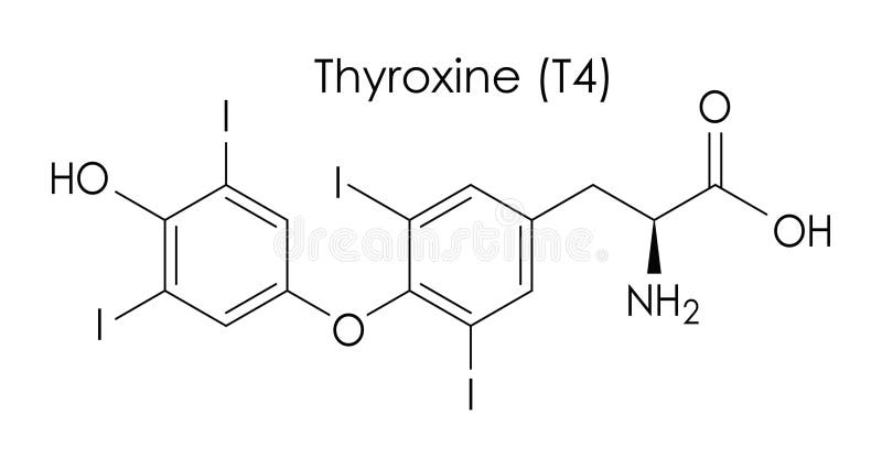 Struktur des chemischen Moleküls Thyroxin hormon lizenzfreie abbildung
