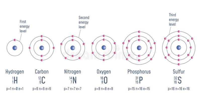 Struktur eines Atoms vektor abbildung