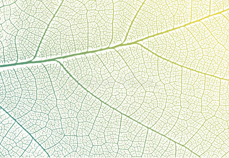Struktur på gröna bladventiler. bakgrund för vektornatur stock illustrationer
