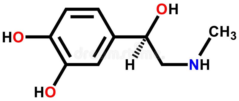 Adrenaline structural formula drawn on a white background. Adrenaline structural formula drawn on a white background