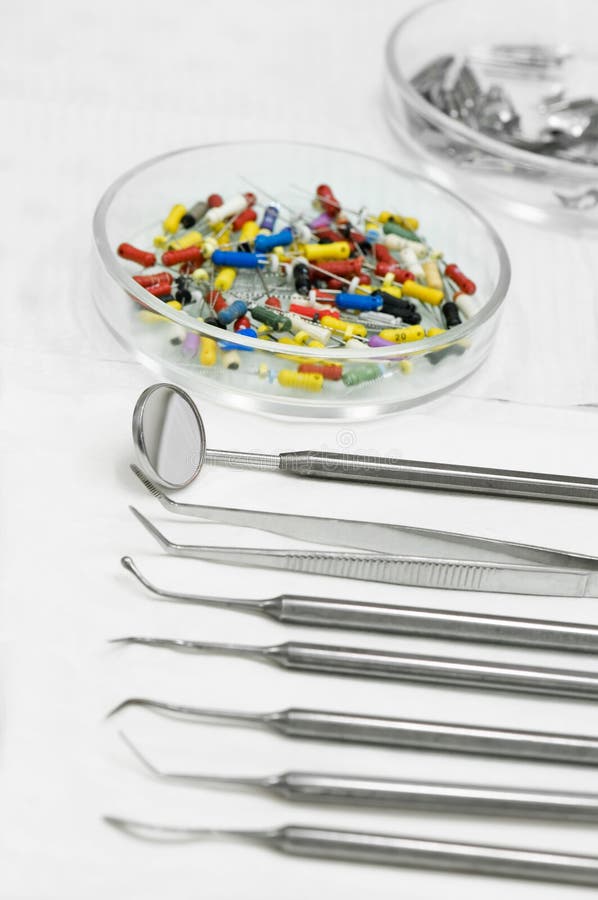 Galleggiante Dentale Per Cavalli Strumenti Veterinari Dentali Per - Foto 10