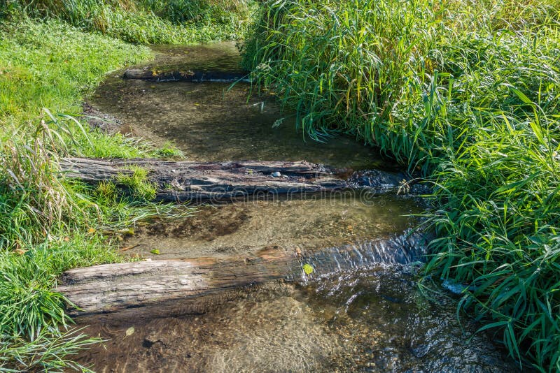 Strumień Przy Seahurst parkiem obrazy stock Strumień Przy Seahurst parkiem obrazy stock