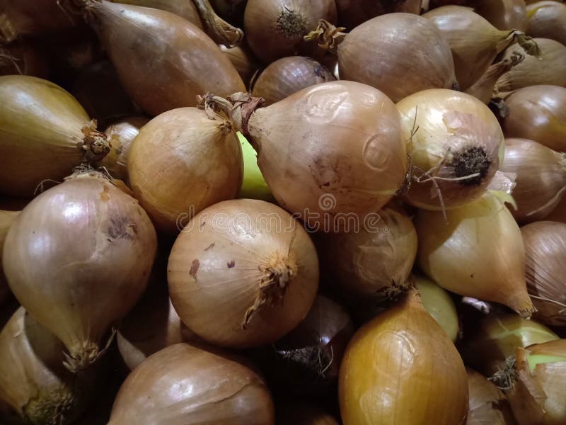 Struttura bianca del mucchio dell'aglio Aglio fresco sul mercato Immagine sana della spezia dell'alimento della vitamina Immagine immagine stock libera da diritti Struttura bianca del mucchio dell'aglio Aglio fresco sul mercato Immagine sana della spezia dell'alimento della vitamina Immagine immagine stock libera da diritti