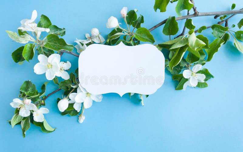 Struttura d'annata con la mela del fiore su fondo blu fotografie stock libere da diritti Struttura d'annata con la mela del fiore su fondo blu fotografie stock libere da diritti