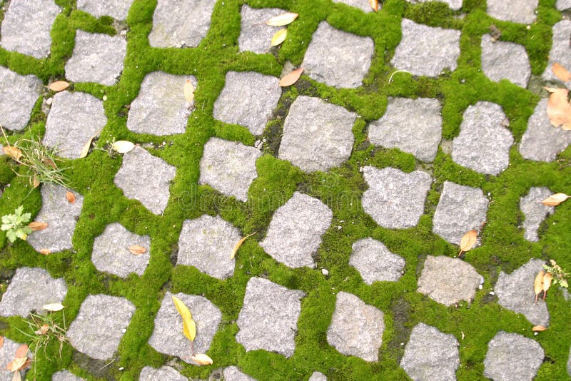 Struttura del Cobblestone immagine stock libera da diritti Struttura del Cobblestone immagine stock libera da diritti