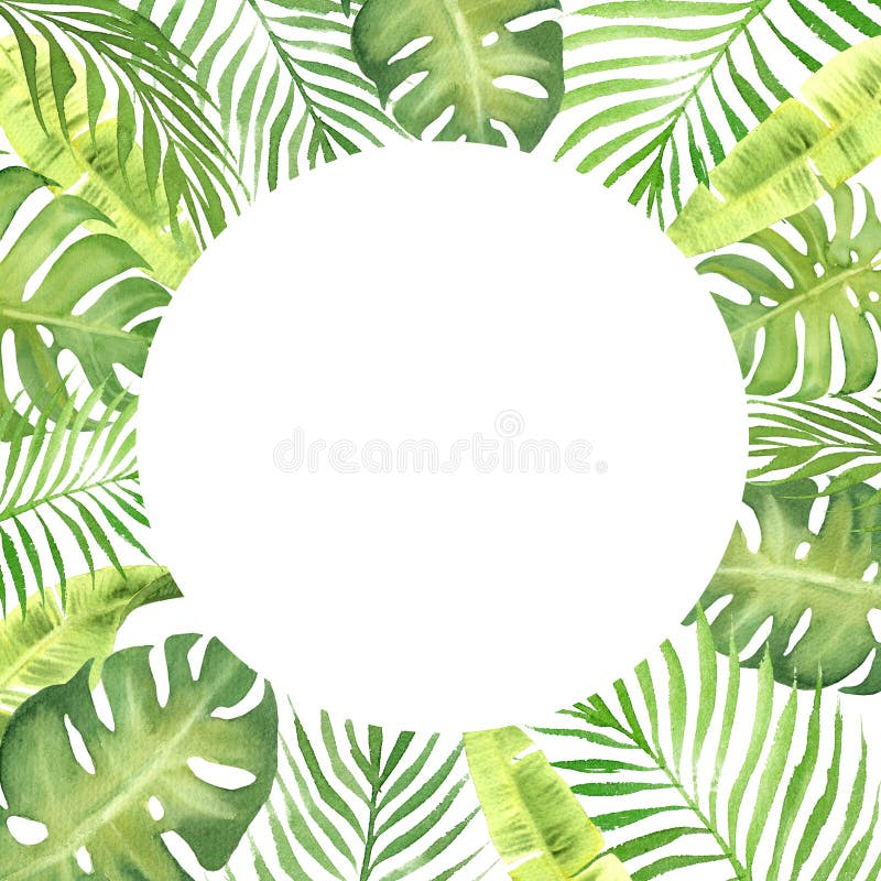 Struttura del confine dell'acquerello con le foglie tropicali verdi royalty illustrazione gratis Struttura del confine dell'acquerello con le foglie tropicali verdi royalty illustrazione gratis