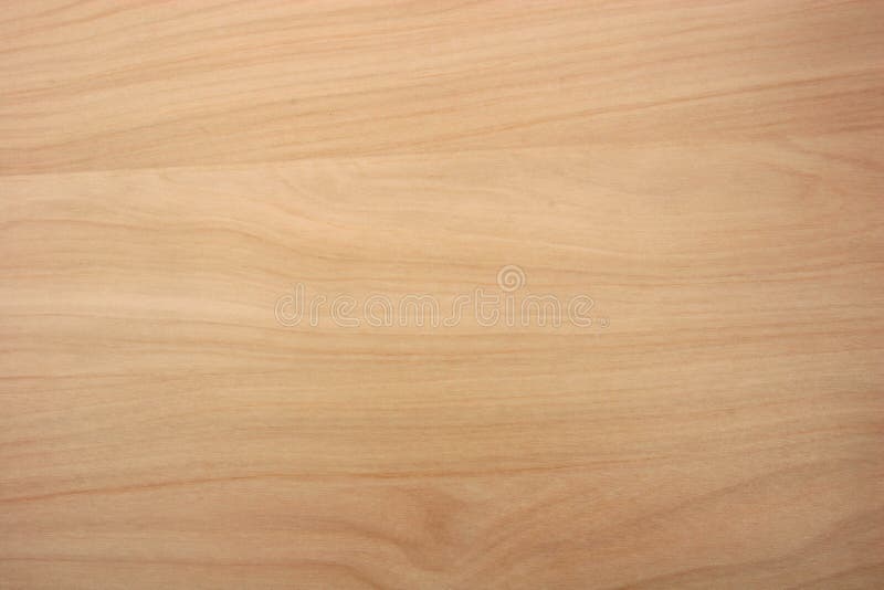 Struttura del grano di legno di betulla di Taiga