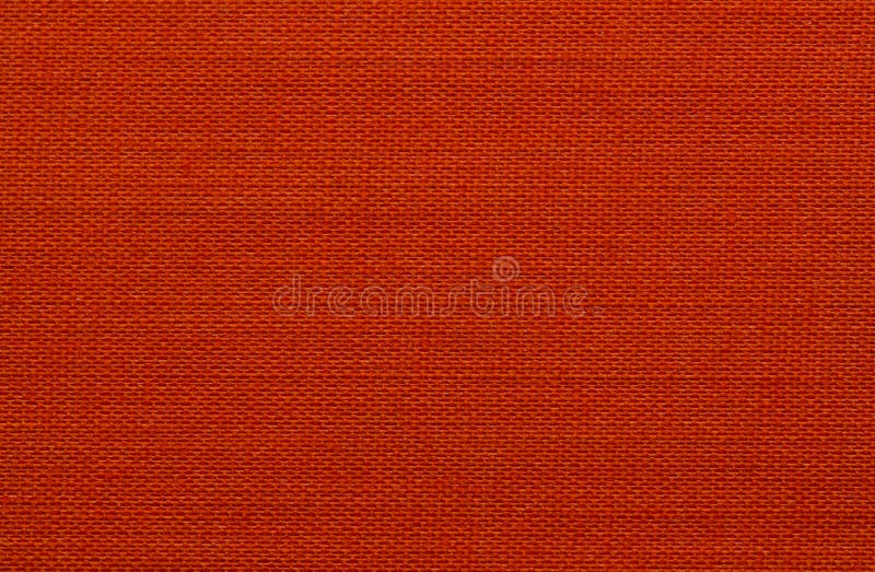 Struttura del primo piano di pelle fotografia stock Struttura del primo piano di pelle fotografia stock
