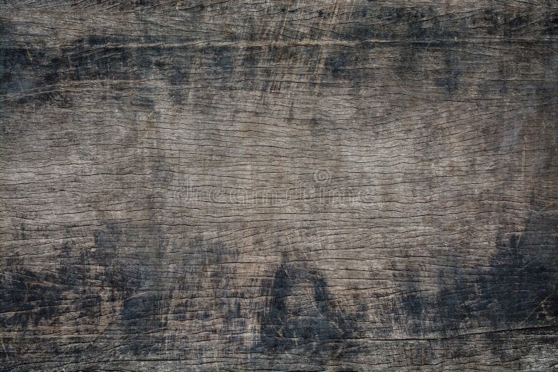 Struttura della corteccia, fondo di legno del grano immagine stock Struttura della corteccia, fondo di legno del grano immagine stock