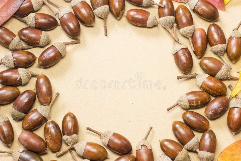 Struttura della foglia di autunno e della ghianda nel cerchio immagine stock Struttura della foglia di autunno e della ghianda nel cerchio immagine stock