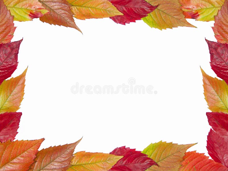 Struttura di autunno immagine stock Struttura di autunno immagine stock
