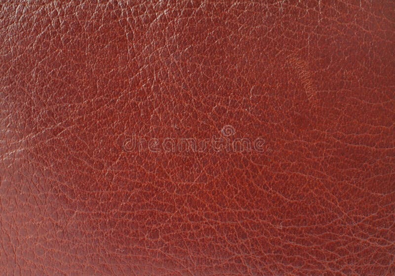 Struttura di cuoio del Brown immagine stock
