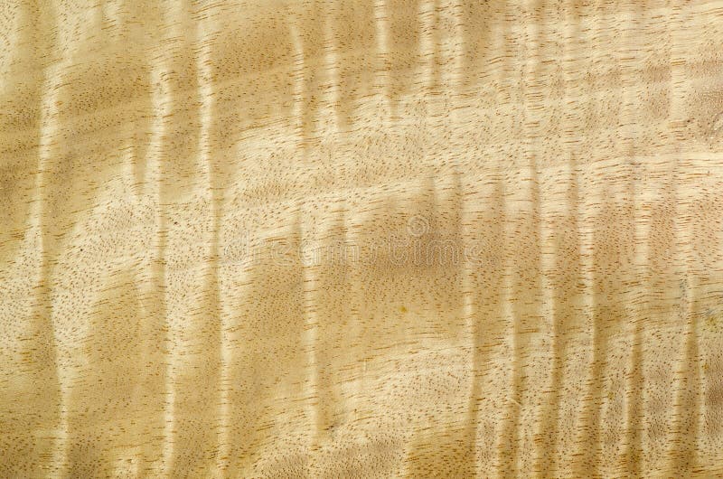 Struttura di legno del grano, fondo esotico dell'impiallacciatura