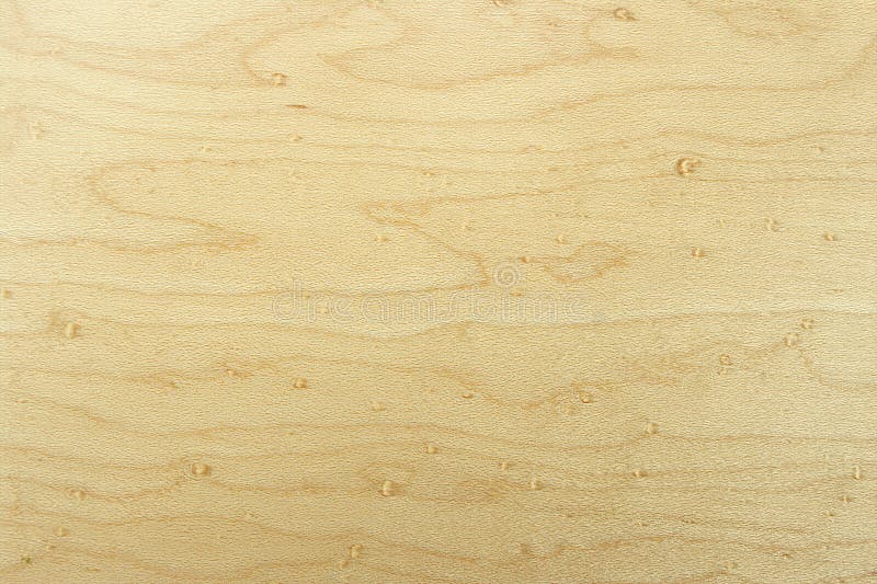 Struttura di legno di faggio fotografia stock Struttura di legno di faggio fotografia stock