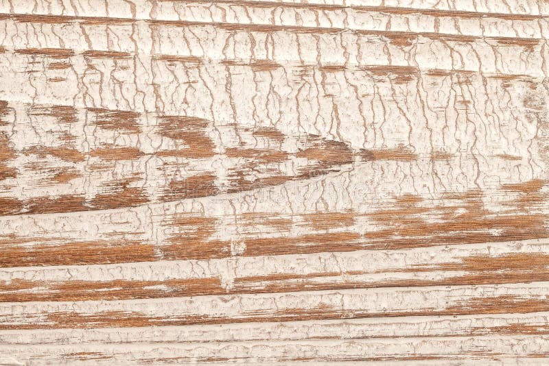 Struttura di legno macchiata immagini stock libere da diritti Struttura di legno macchiata immagini stock libere da diritti