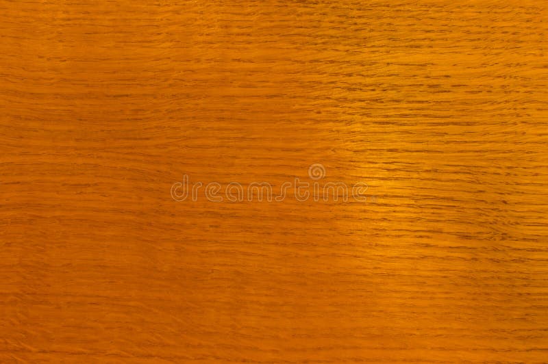 Struttura di legno, quercia, sotto vernice fotografia stock Struttura di legno, quercia, sotto vernice fotografia stock