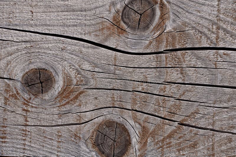Struttura di legno stagionata grigia che mostra le crepe, i nodi e gli anelli di crescita fotografia stock Struttura di legno stagionata grigia che mostra le crepe, i nodi e gli anelli di crescita fotografia stock