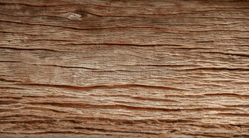 Struttura di uso del legno della corteccia come sfondo naturale immagine stock libera da diritti Struttura di uso del legno della corteccia come sfondo naturale immagine stock libera da diritti