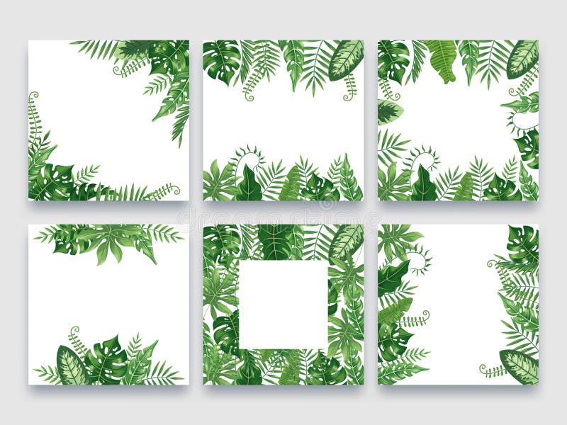 Struttura esotica delle foglie Confine tropicale della foglia, strutture di estate della natura e fondo di lusso di progettazione