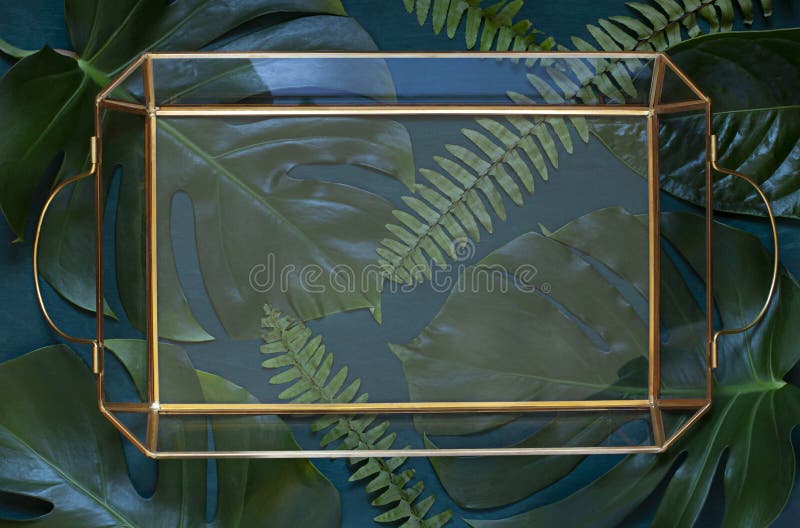 Struttura floreale tropicale di concetto di estate sui precedenti scuri di legno Vassoio trasparente sulle foglie esotiche fotografia stock Struttura floreale tropicale di concetto di estate sui precedenti scuri di legno Vassoio trasparente sulle foglie esotiche fotografia stock
