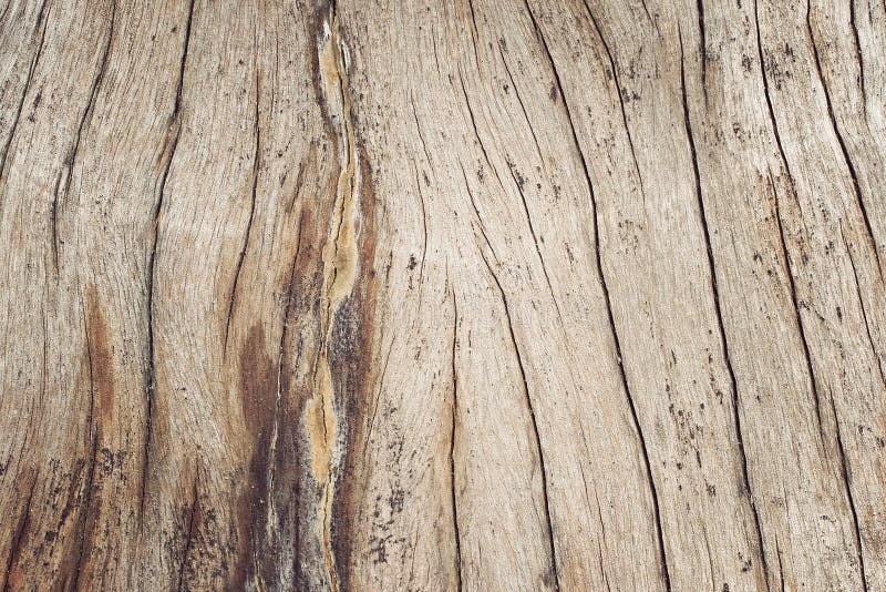 Struttura naturale Struttura di legno del taglio del primo piano con l'albero bruciante della struttura immagine stock Struttura naturale Struttura di legno del taglio del primo piano con l'albero bruciante della struttura immagine stock