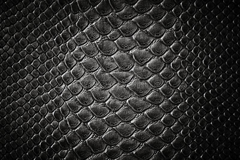 Struttura nera della pelle del coccodrillo immagine stock libera da diritti Struttura nera della pelle del coccodrillo immagine stock libera da diritti
