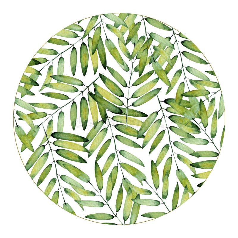 Struttura rotonda fatta a mano su fondo bianco Foglie verdi tropicali, dipinte a mano con l'acquerello illustrazione vettoriale Struttura rotonda fatta a mano su fondo bianco Foglie verdi tropicali, dipinte a mano con l'acquerello illustrazione vettoriale