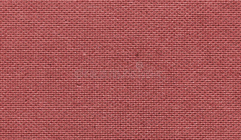 Struttura scannerizzata in base al corallo di colore chiaro ad alta risoluzione immagini stock libere da diritti