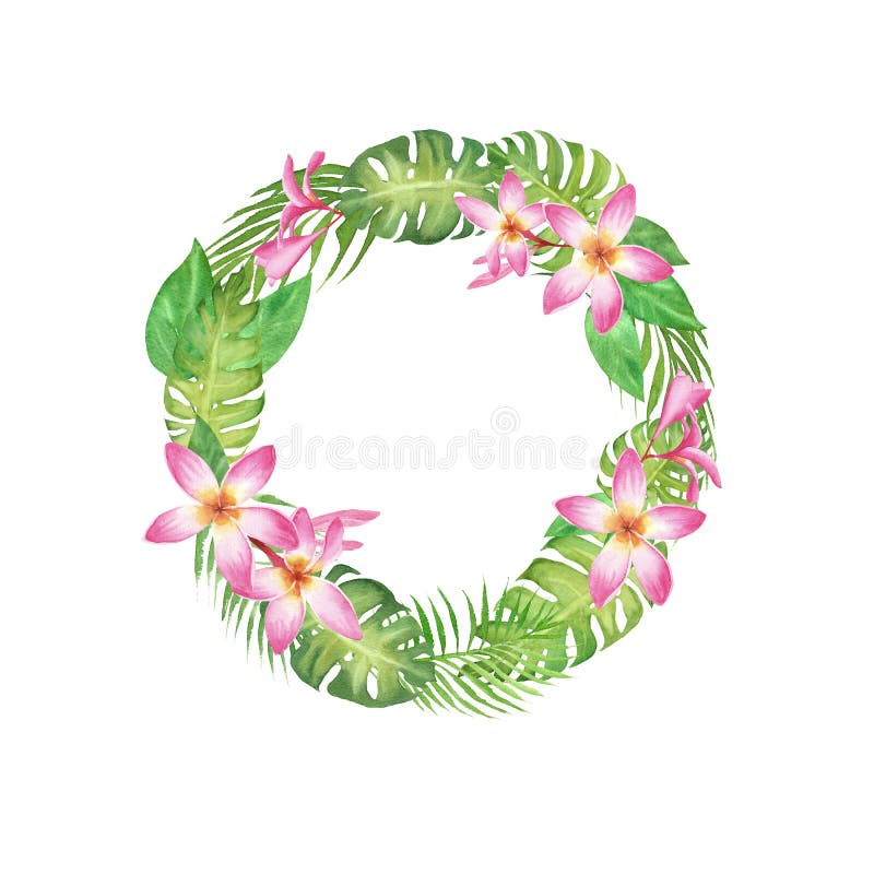 Struttura tropicale della corona dell'acquerello con il monstera, le foglie della palma ed il frangipane del fiore isolati su bia royalty illustrazione gratis Struttura tropicale della corona dell'acquerello con il monstera, le foglie della palma ed il frangipane del fiore isolati su bia royalty illustrazione gratis