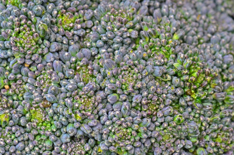 This micro shot of broccoli shows the detailed abstract of textures and color variances bursting with flavor, vitamins and minerals. This micro shot of broccoli shows the detailed abstract of textures and color variances bursting with flavor, vitamins and minerals.