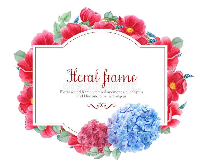 Strutture floreali con gli anemoni rossi, ortensia rosa e blu e rami dell'eucalyptus, pittura dell'acquerello royalty illustrazione gratis Strutture floreali con gli anemoni rossi, ortensia rosa e blu e rami dell'eucalyptus, pittura dell'acquerello royalty illustrazione gratis