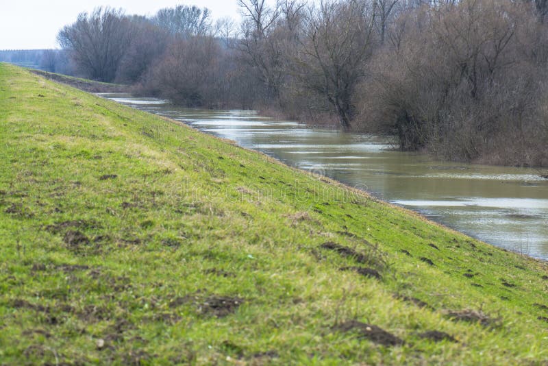 Strömender Fluss lizenzfreie stockbilder Strömender Fluss lizenzfreie stockbilder