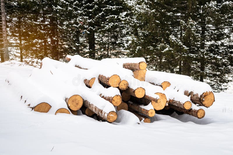 Stsck of logs covered in snow in winter stock photo
