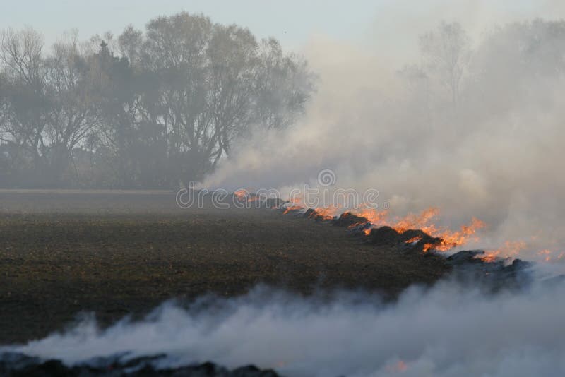 Stubble fire