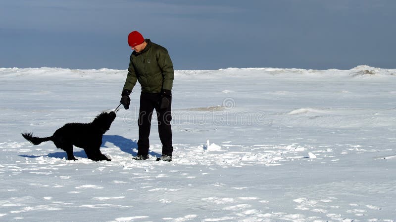 But I'm not ready to go home yet... Winter scene with dog at Wasaga Beach, the longest freshwater beach in the world. But I'm not ready to go home yet... Winter scene with dog at Wasaga Beach, the longest freshwater beach in the world